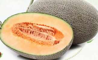 吃哈密瓜会黑便,揭秘水果与消化系统的微妙关系