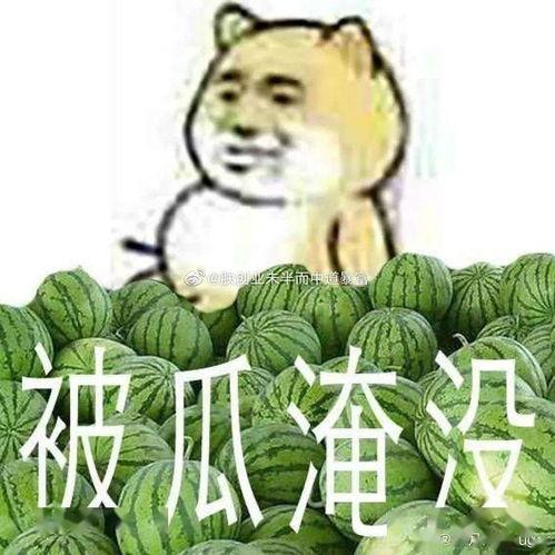 吃瓜看黑料违法吗,吃黑料违法与否的法律边界