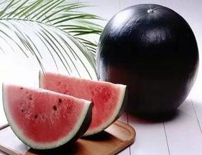 黑料吃黑瓜网违法吗,违法边缘的灰色地带