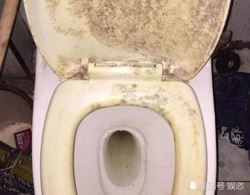 带你吃瓜奇葩黑科技马桶,颠覆传统！带你探索“带你吃瓜”奇葩黑科技马桶的神奇魅力