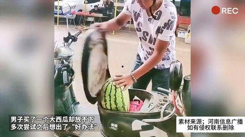 黑料社吃瓜不迷路,吃瓜不迷路，揭秘娱乐圈幕后真相