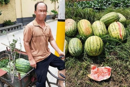 黑料社吃瓜不迷路,吃瓜不迷路，揭秘娱乐圈幕后真相