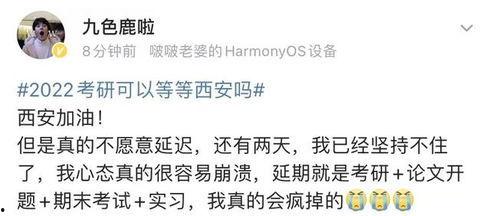 吃黑籽瓜文案短句,一口咬下，尽享夏日清新滋味”