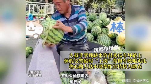 黑料吃瓜网回家路,回家路上的那些秘密与真相