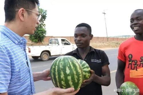 五一黑料爆料吃瓜,娱乐圈惊天大瓜，吃瓜群众纷纷热议