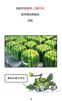 历史回顾黑料吃瓜,那些被尘封的黑料与吃瓜瞬间