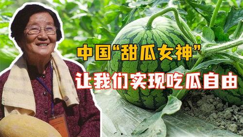 豆瓣自由吃瓜基地全是黑,揭秘网络舆论场的黑白真相