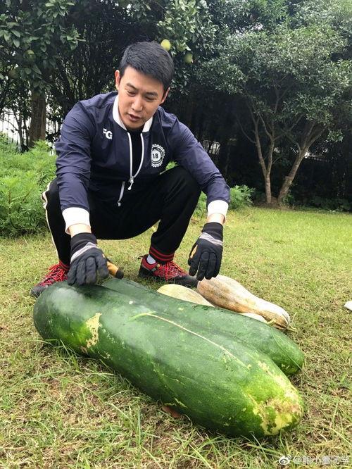吃瓜爆料黑反差曹县,揭秘曹县背后的惊人反差