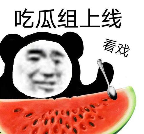 全网吃瓜黑料最真实的瓜,揭秘吃瓜黑料背后的真实故事